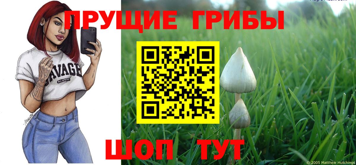 Галлюциногенные грибы прущие грибы Узловая